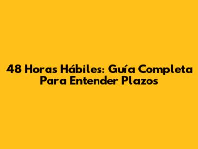 48 Horas Hábiles: Guía Completa Para Entender Plazos