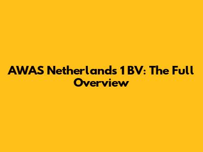 AWAS Netherlands 1 BV: The Full Overview
