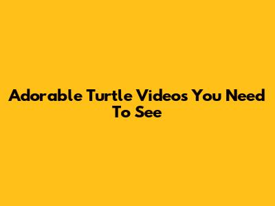 Adorable Turtle Videos You Need To See