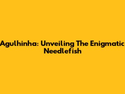 Agulhinha: Unveiling The Enigmatic Needlefish