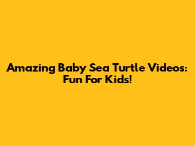 Amazing Baby Sea Turtle Videos: Fun For Kids!