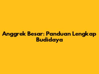 Anggrek Besar: Panduan Lengkap Budidaya