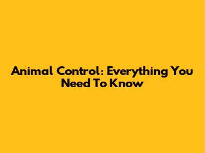 Animal Control: Everything You Need To Know