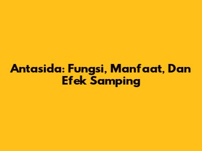Antasida: Fungsi, Manfaat, Dan Efek Samping