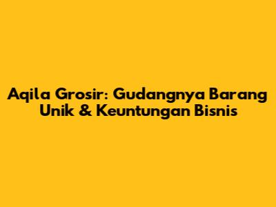Aqila Grosir: Gudangnya Barang Unik & Keuntungan Bisnis