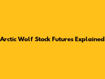 Arctic Wolf Stock Futures Explained