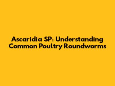 Ascaridia SP: Understanding Common Poultry Roundworms