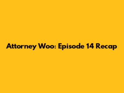 Attorney Woo: Episode 14 Recap