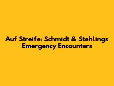 Auf Streife: Schmidt & Stehling's Emergency Encounters