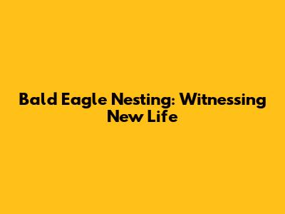 Bald Eagle Nesting: Witnessing New Life