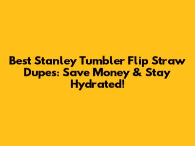 Best Stanley Tumbler Flip Straw Dupes: Save Money & Stay Hydrated!