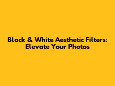 Black & White Aesthetic Filters: Elevate Your Photos