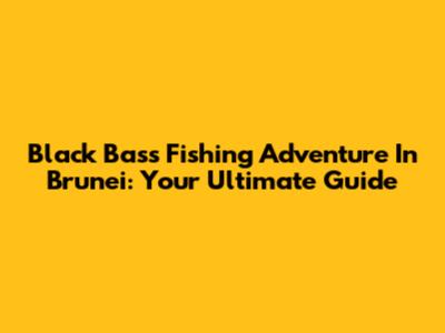 Black Bass Fishing Adventure In Brunei: Your Ultimate Guide