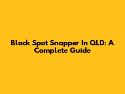 Black Spot Snapper In QLD: A Complete Guide