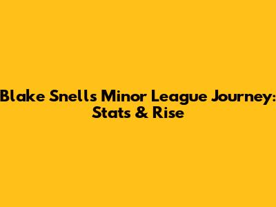 Blake Snell's Minor League Journey: Stats & Rise