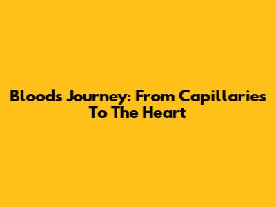 Blood's Journey: From Capillaries To The Heart