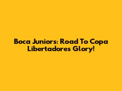 Boca Juniors: Road To Copa Libertadores Glory!
