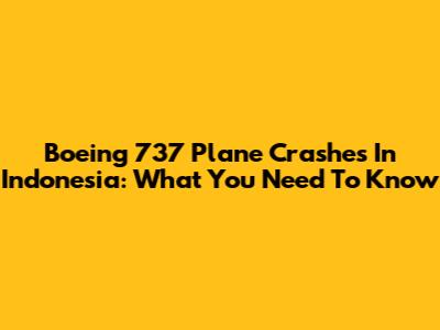 Boeing 737 Plane Crashes In Indonesia: What You Need To Know