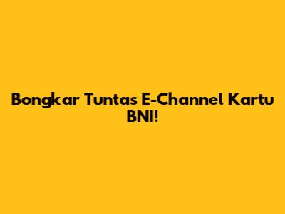 Bongkar Tuntas E-Channel Kartu BNI!