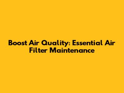 Boost Air Quality: Essential Air Filter Maintenance
