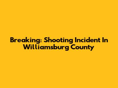 Breaking: Shooting Incident In Williamsburg County