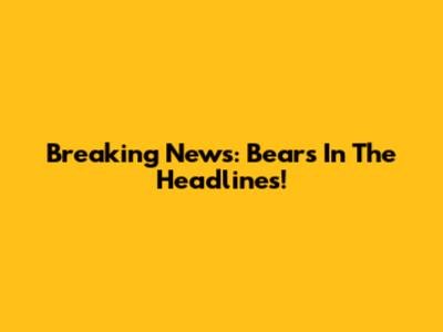 Breaking News: Bears In The Headlines!