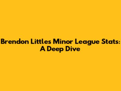 Brendon Little's Minor League Stats: A Deep Dive