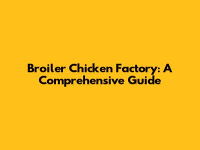 Broiler Chicken Factory: A Comprehensive Guide