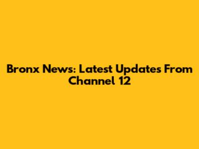 Bronx News: Latest Updates From Channel 12