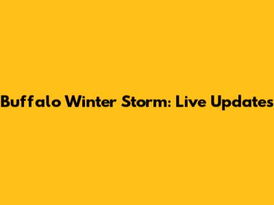 Buffalo Winter Storm: Live Updates