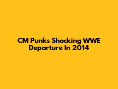 CM Punk's Shocking WWE Departure In 2014