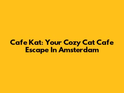 Cafe Kat: Your Cozy Cat Cafe Escape In Amsterdam