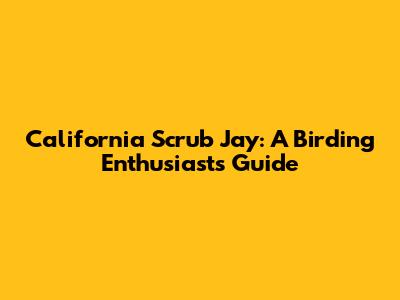California Scrub Jay: A Birding Enthusiast's Guide