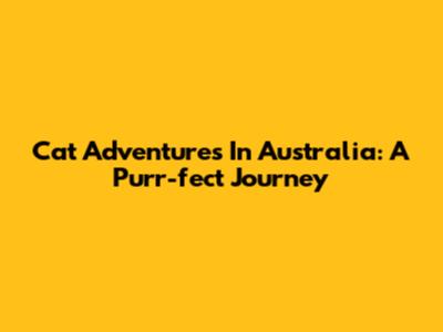 Cat Adventures In Australia: A Purr-fect Journey