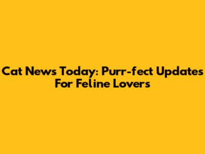 Cat News Today: Purr-fect Updates For Feline Lovers