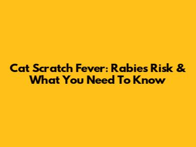 Cat Scratch Fever: Rabies Risk & What You Need To Know