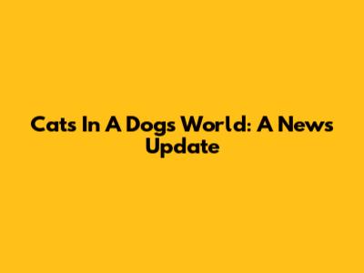 Cats In A Dog's World: A News Update