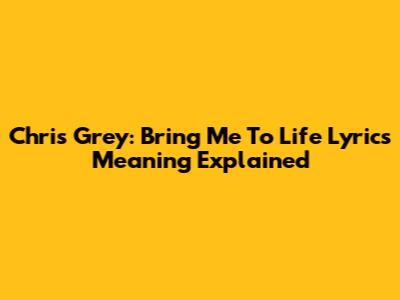 Chris Grey: Bring Me To Life Lyrics Meaning Explained