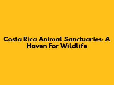 Costa Rica Animal Sanctuaries: A Haven For Wildlife