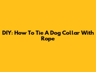 DIY: How To Tie A Dog Collar With Rope