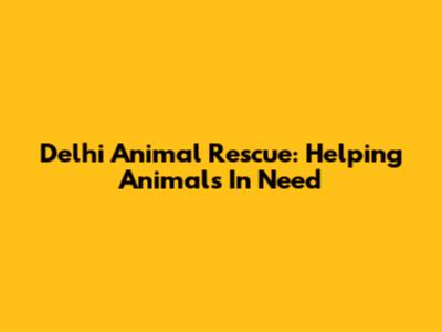 Delhi Animal Rescue: Helping Animals In Need