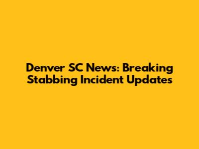 Denver SC News: Breaking Stabbing Incident Updates