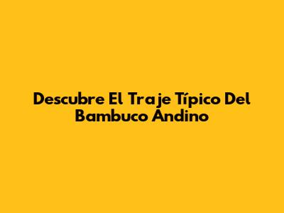 Descubre El Traje Típico Del Bambuco Andino