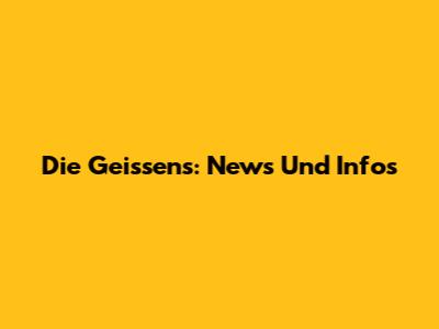 Die Geissens: News Und Infos