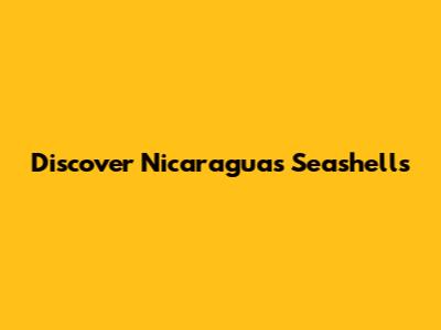 Discover Nicaragua's Seashells
