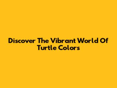Discover The Vibrant World Of Turtle Colors