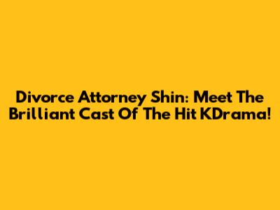 Divorce Attorney Shin: Meet The Brilliant Cast Of The Hit KDrama!