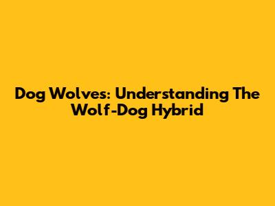 Dog Wolves: Understanding The Wolf-Dog Hybrid