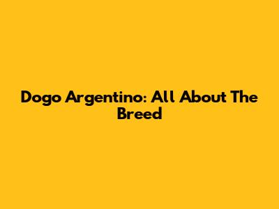 Dogo Argentino: All About The Breed