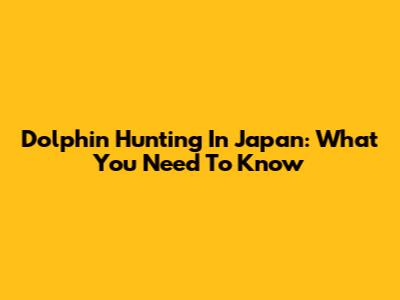 Dolphin Hunting In Japan: What You Need To Know
